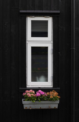 black wooden house with window box and flowers, Faroe Islands