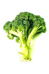 Delicious fresh broccoli isolated on a white background