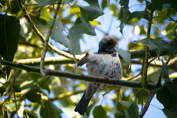 Just a second Mr. Photographer