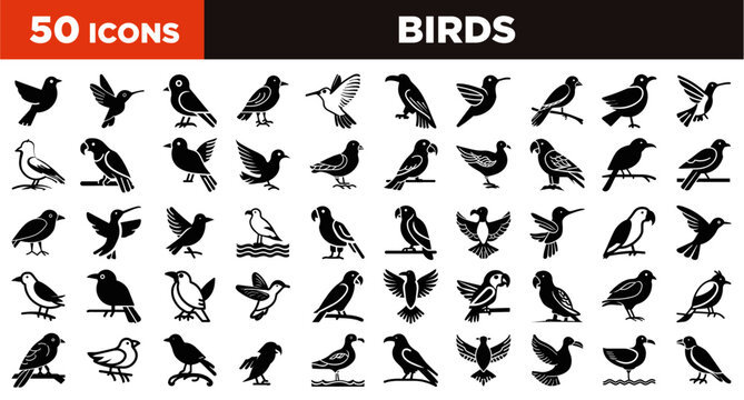 birds icons set