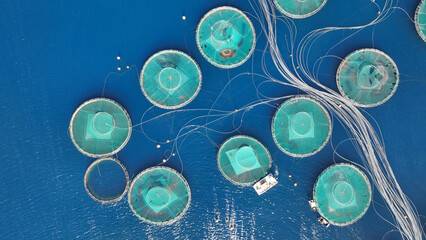 Aerial drone photo of latest technology fish farm breeding cages in fishery unit located in...