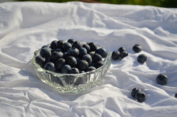 transparent saucer with scattered blueberries on a white cloth