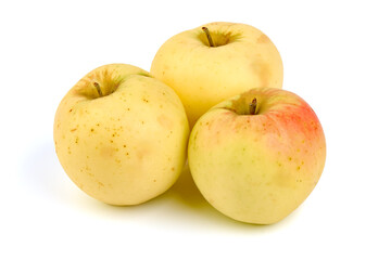 Ripe yellow apple fruits, isolated on white background.