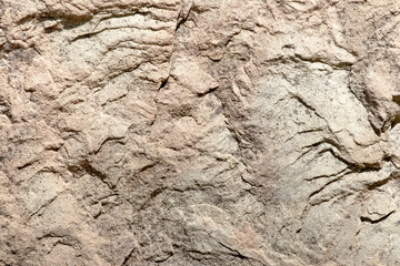 The texture of the sandstone stone with grains and irregularities in bright sunlight, interesting for geologists