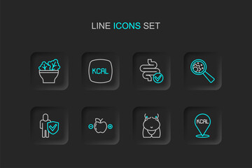 Set line Kcal, Obesity, Calorie calculator, Healthy lifestyle, GMO, Intestines, and Salad bowl icon. Vector