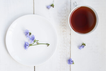 Top view, flat lying. Drink from chicory roots in a cup, a flowering chicory plant on a white wooden table. An alternative to decaffeinated coffee. High quality photo