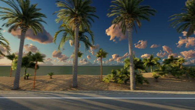 View from the side window of the car, driving along the palm beach at sunset