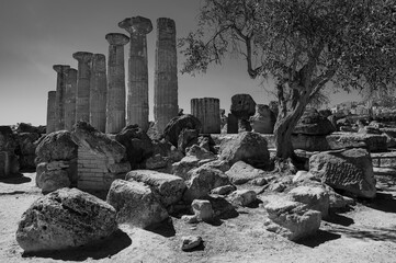 Black and white photography portraying the ruins of the temple of Heracles, doric columns and fallen rocks at the Valley of Temples in Agrigento, Sicily, Italy - obrazy, fototapety, plakaty