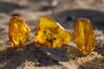 Natural, polished Baltic amber on a sandy beach in Kołobrzeg, Poland. - obrazy, fototapety, plakaty