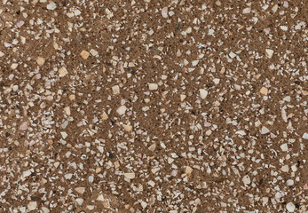 Background of tiny pieces of white shell