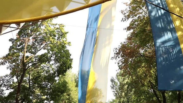 The big flag of Ukraine hangs in the city park in the summer sun in the Dnieper in Ukraine, freedom