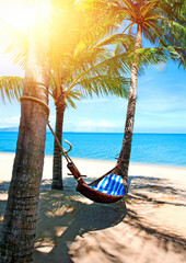 Beautiful Maldive beach and hammock. Empty hammock between palms at sandy beach. Summer holiday and vacation concept. - 639695097