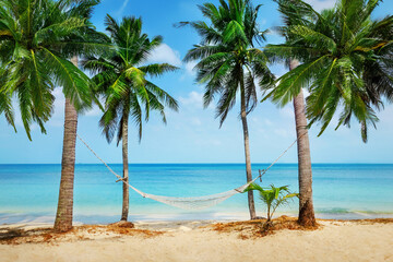 Hammock between two coconut trees on a tropical island with beautiful beach - 639695457