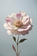 Flowers, minimalistic flower art, mild colours, boho style, generative AI