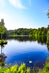 Wundervolle, magische Seenlandschaft über Kristiansand in Norwegen 