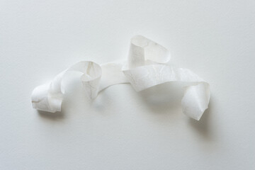 grungy paper ribbon with curls on blank paper