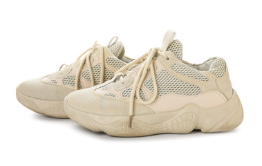 Stylish sneakers on white background