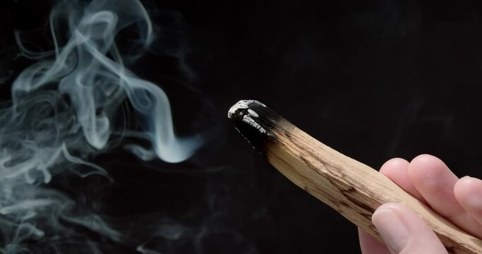Person holding Palo Santo wood stick in hand, aromatic Palo Santo burning on black background, smoke spreading around, slow motion video clip, high quality 4k close up footage
