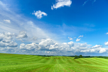 Fluffy white clouds over a young agricultural field.  Hilly fields against the background of the forest illuminated by the setting sun.