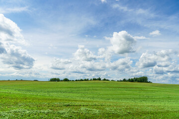 Fluffy white clouds over a young agricultural field.  Hilly fields against the background of the forest illuminated by the setting sun.