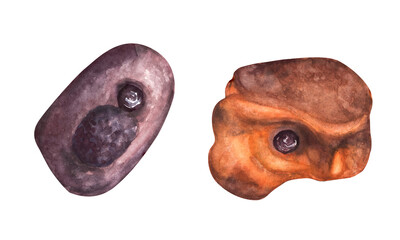 Boulder coloured grips set. Holds for rock climbing on a wall in the gym. Watercolor illustration isolated white background. Element for your design of postcards flyers brochures stickers prints logo