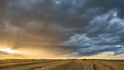 A black rain cloud over a rural field. The rays of the setting sun are breaking through a terrible...
