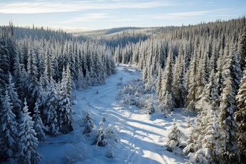 An aerial landscape of winter in snowy forest