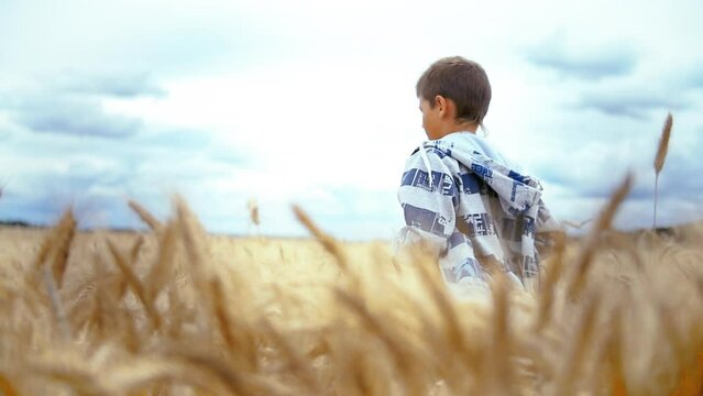 Young Boy Running Freely and Happily Through a Golden Wheat Field on a Sunny Summer Day
