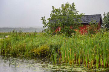 Red Building surrounded by Tall Grasses