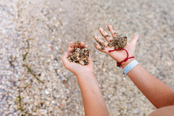 close up view on child's hands holding little stones on the beach