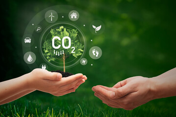 Carbon dioxide emission concept with tree in hands