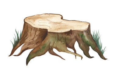 Tree stump with grass. Watercolor realistic illustration. The tree trunk is cut with green moss and grass. Realistic wooden stump with bark, green lichen, plants on white background
