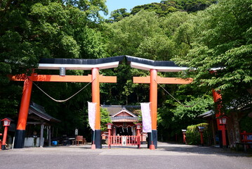 諏訪神社の並列鳥居の風景