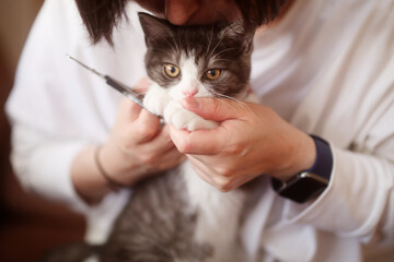 爪を切る猫