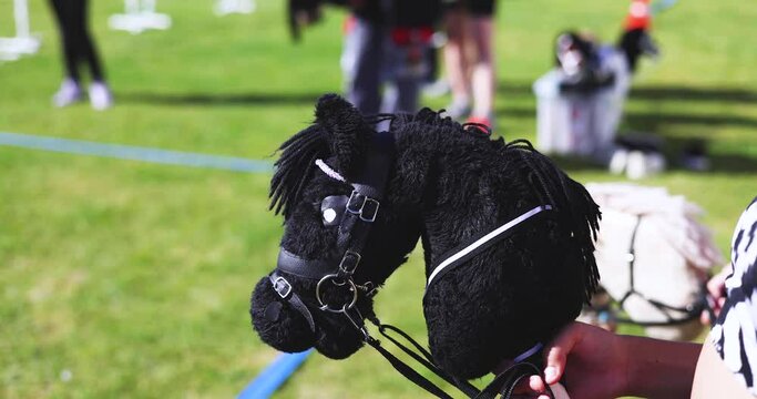 Obrázky Hobby-Horse – procházejte fotografie, vektory a videa 3,189 ...