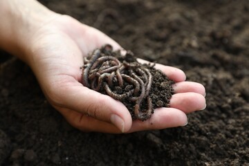 Woman holding soil with earthworms above ground, closeup