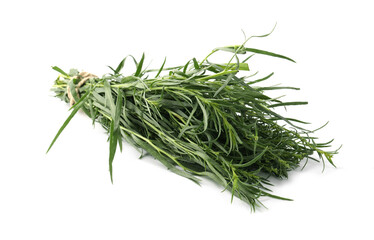 Bunch of fresh tarragon on white background