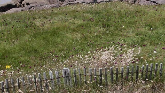 Clip vid&eacute;o de paysage de mer &agrave; Tr&eacute;gastel en Bretagne - France