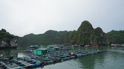 Floating fishing village Vietnam © Mark