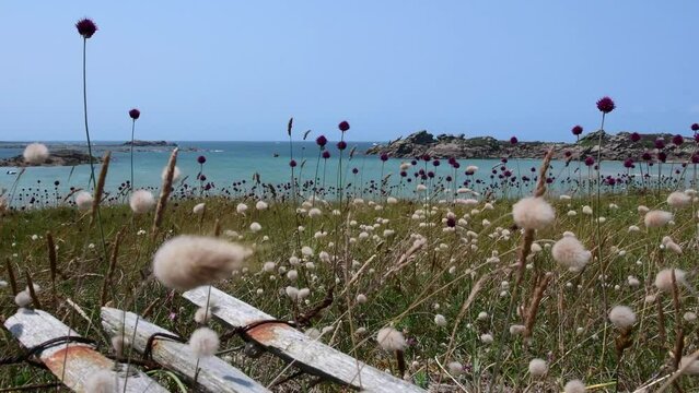 Clip vid&eacute;o de paysage de mer &agrave; Tr&eacute;gastel en Bretagne - France