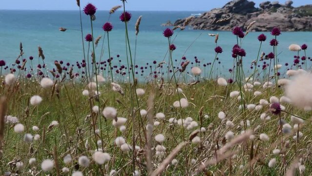 Clip vid&eacute;o de paysage de mer &agrave; Tr&eacute;gastel en Bretagne - France