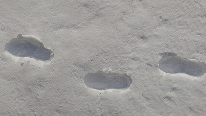 Snow tracks of people walking .