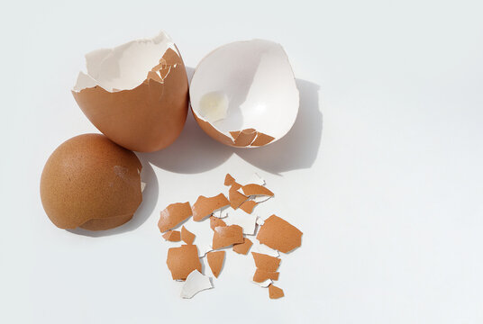 Group of broken egg shells on white background. Recycling kitchen waste for gardening.egg shells is applied to the tree and is a natural fertilizer.Crushed egg shells for the compost and garden