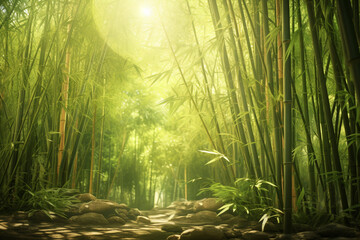 Beautiful bamboo forest minimal rendering background