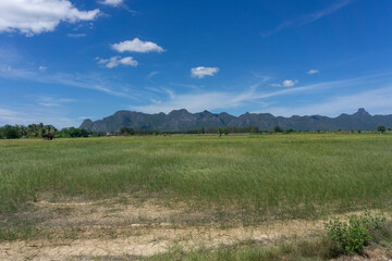 barren rice fields due to lack of water for several months