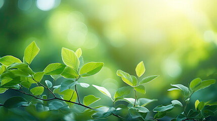Fototapeta na wymiar Nature of green leaf, greenery wallpaper