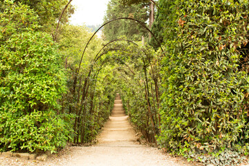 path in the garden