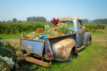 old rusty truck filled with colorful flowers - Powered by Adobe