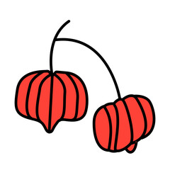 Obraz premium surinam cherry of tropical fruits filled icon style