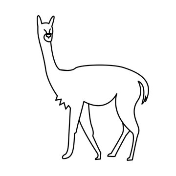 recommend clip art: vicuna of wild animal outline icon set